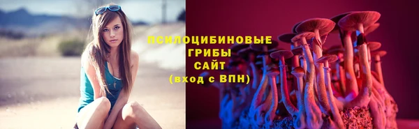 apvp Абинск