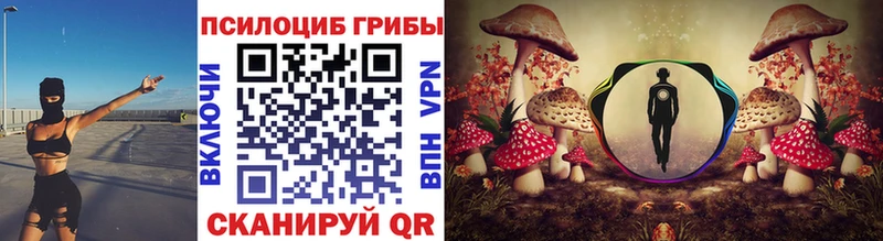 что такое   Власиха  Псилоцибиновые грибы прущие грибы 